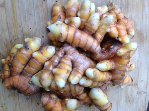 Wildwood Harvest Permaculture Farm