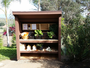 Fallbrook Grown