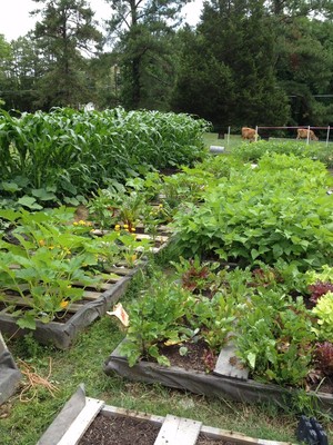 Wild Persimmon Farm