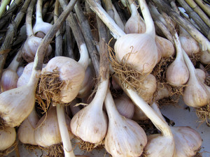 Simmer Rock Farm