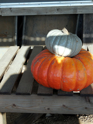 Bay Area Food & Farm Tours