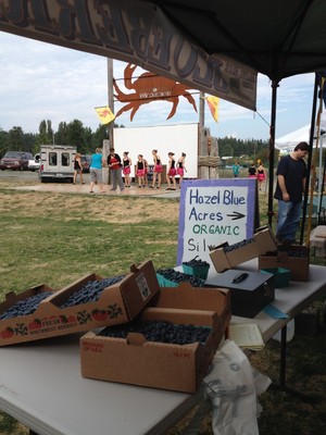 Camano Island Farmers Market