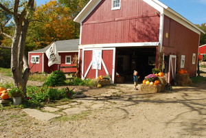 Anderson Acres Farm
