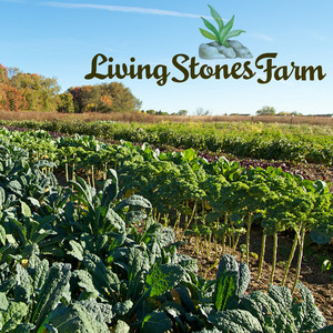 Living Stones Farm