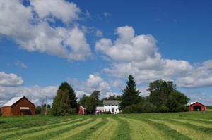 Dutch Barn Farm