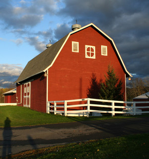 Sawkill Farm