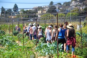Gill Tract Community Farm
