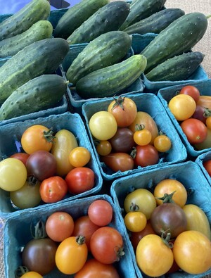 Mon Soleil Market Garden