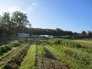 Sandyfoot Farm