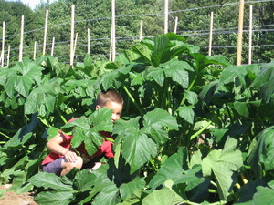 Full Basket Farm