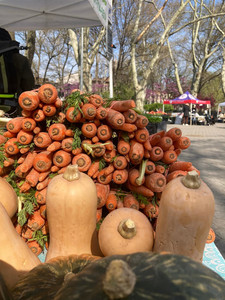 Down to Earth McGolrick Park Farmers Market