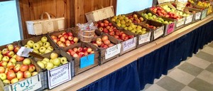 Manoff Market Gardens