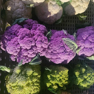 JR Organics