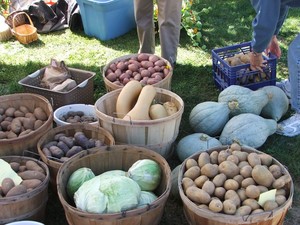 Montezuma Winery Farmers Market