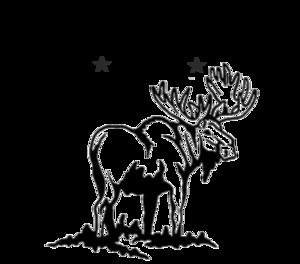 Moose Valley Farms