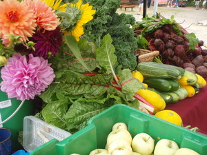 Transfarmation - More than farming, growing cultural change!