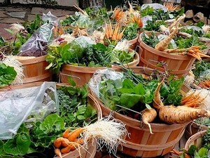 Seven Baskets Farm