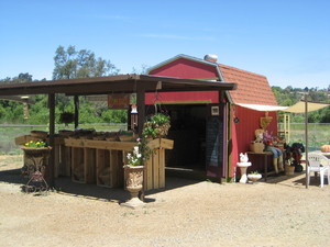 The Farm at El Mirlo