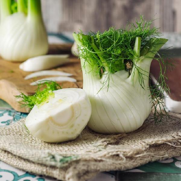 fennel