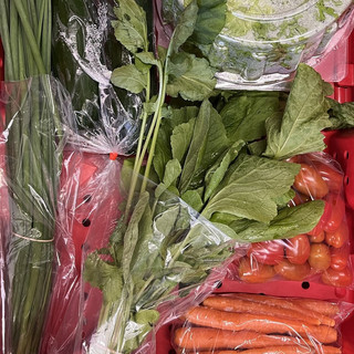 Sunshine Market Garden Ltd.