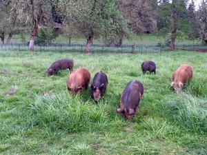 Mount Hope Heritage Farm