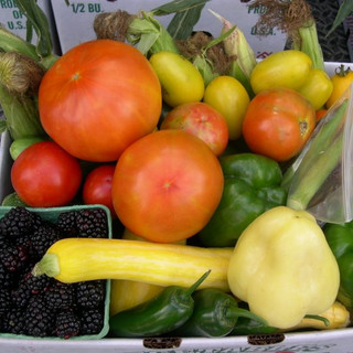 Delvin Farms