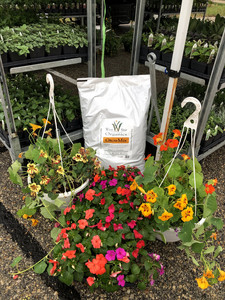 West Star Organics