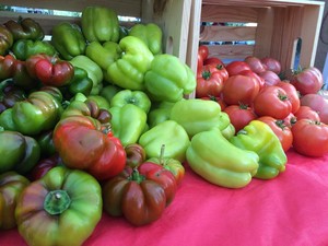 Tranco Farms Garden