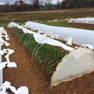 Betsy's Farm