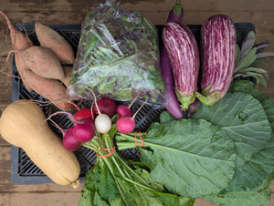 Gathering Springs Farm