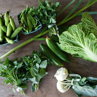 Pink Moon Farm