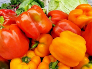 Kittery Community Market