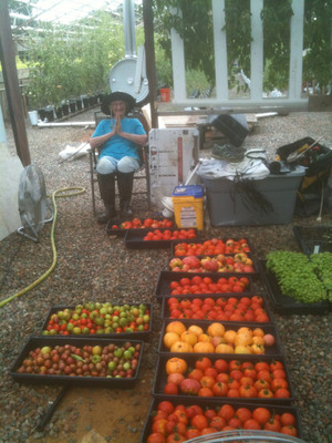 Virginia Vegetable Company