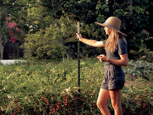 Little River Cooperative