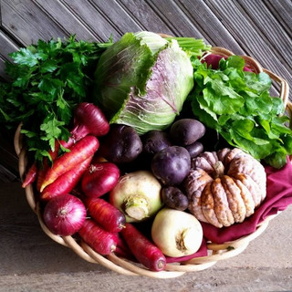 Wobbly Cart Farm