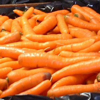 Food Farm