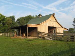 Aris Farm