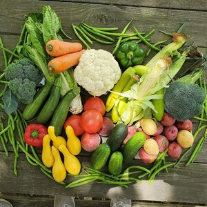 Sumter Farmers Market