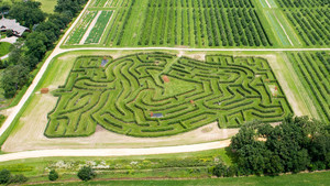 Royal Oak Farm Orchard