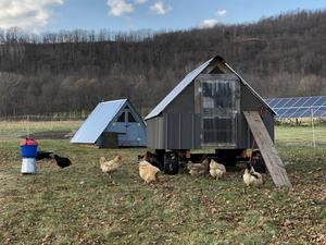Shed Light Farm