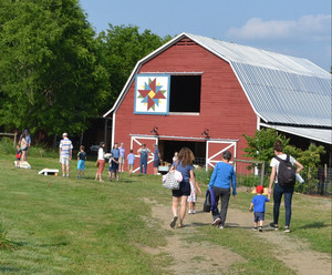 Dinner Bell Farm