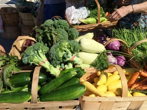 Weymouth Farmer's Market