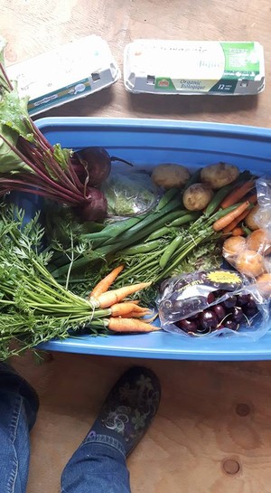 Fair Share Farms