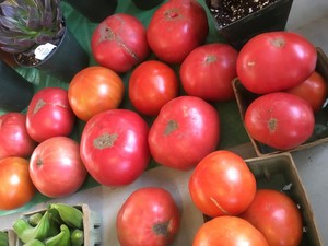 Cheryl Wagner / Wagner's Homestead Farm