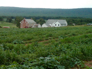 Jus Kiddin Around Farm