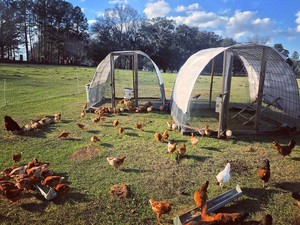 Schmoe Farm, LLC