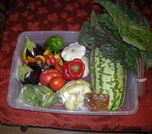 Shoaf Plantation
