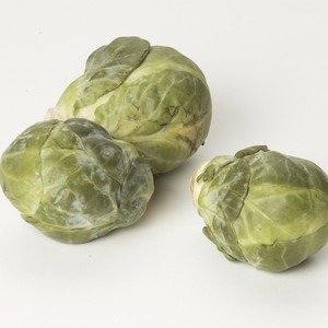 LocalHarvest