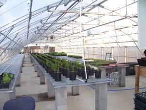 Full Moon Farm, LLC