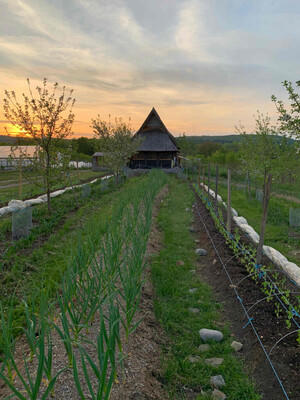 Unadilla Community Farm
